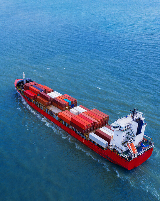 Project Cargo Service